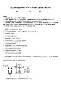 山东省青岛市青大附中2023-2024学年九上化学期末考试试题含答案
