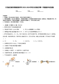江苏省无锡市青阳初级中学2023-2024学年九年级化学第一学期期末考试试题含答案