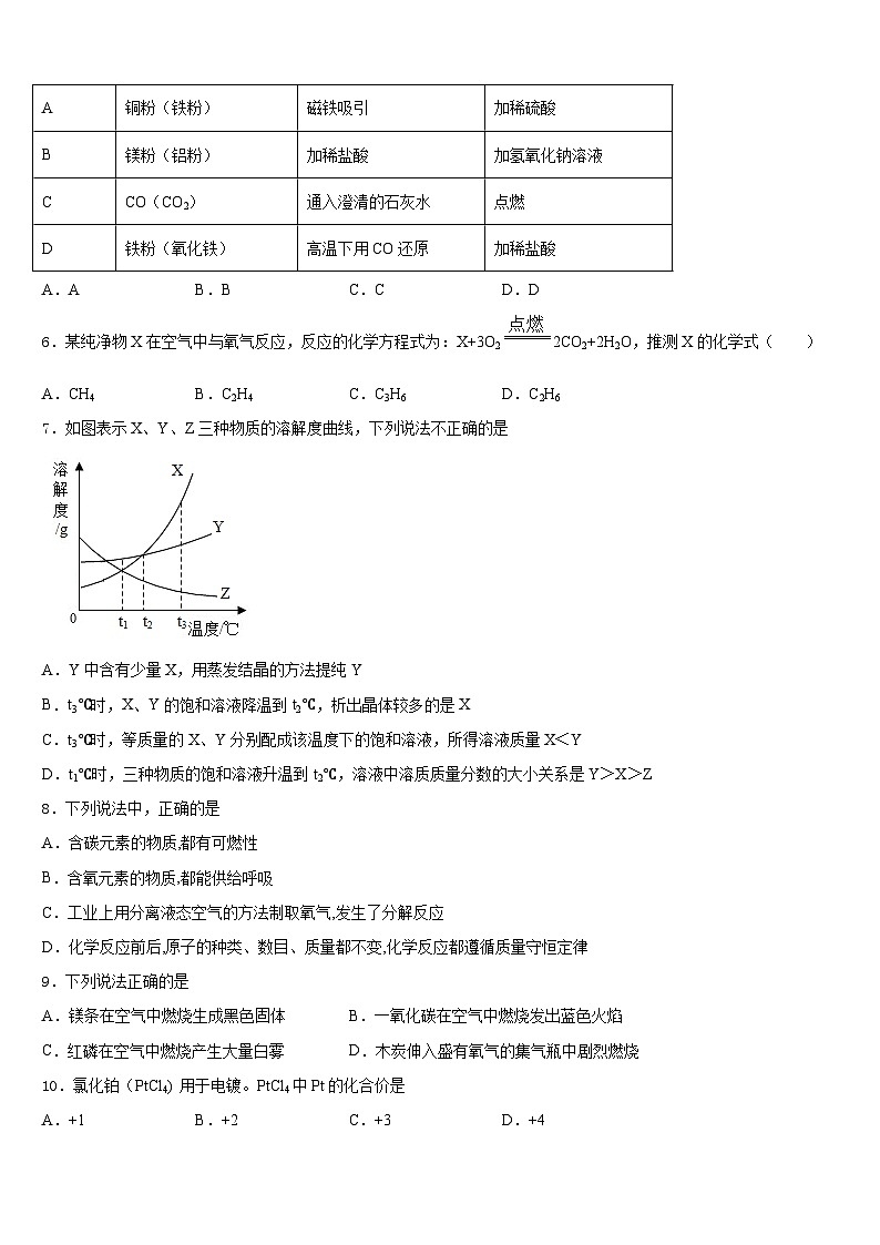 江苏省连云港市新海实验中学2023-2024学年化学九上期末学业质量监测模拟试题含答案第2页