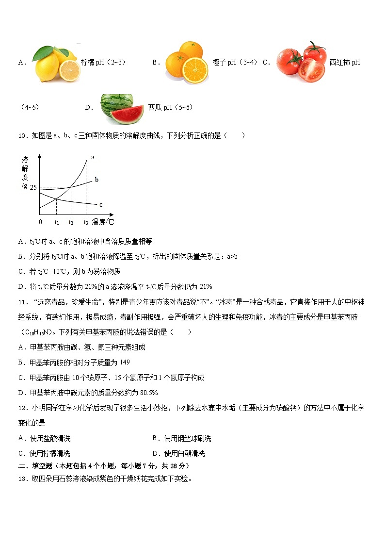 河南省淮阳县羲城中学2023-2024学年化学九年级第一学期期末联考模拟试题含答案第3页