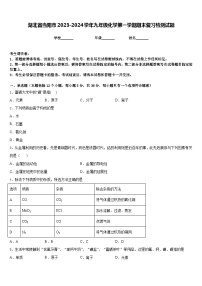 湖北省当阳市2023-2024学年九年级化学第一学期期末复习检测试题含答案