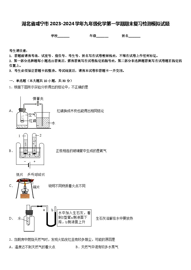湖北省咸宁市2023-2024学年九年级化学第一学期期末复习检测模拟试题含答案第1页