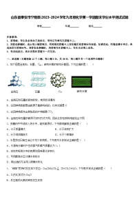 山东省泰安市宁阳县2023-2024学年九年级化学第一学期期末学业水平测试试题含答案