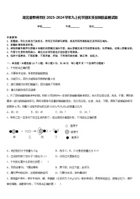 湖北省鄂州市区2023-2024学年九上化学期末质量跟踪监视试题含答案