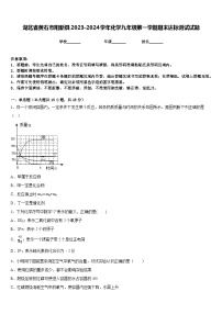 湖北省黄石市阳新县2023-2024学年化学九年级第一学期期末达标测试试题含答案