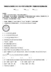 甘肃省天水市麦积区2023-2024学年九年级化学第一学期期末综合测试模拟试题含答案