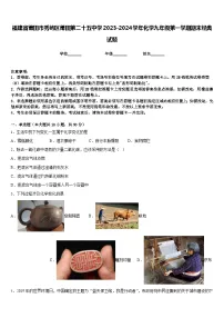 福建省莆田市秀屿区莆田第二十五中学2023-2024学年化学九年级第一学期期末经典试题含答案