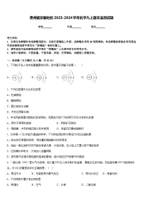 贵州省安顺地区2023-2024学年化学九上期末监测试题含答案