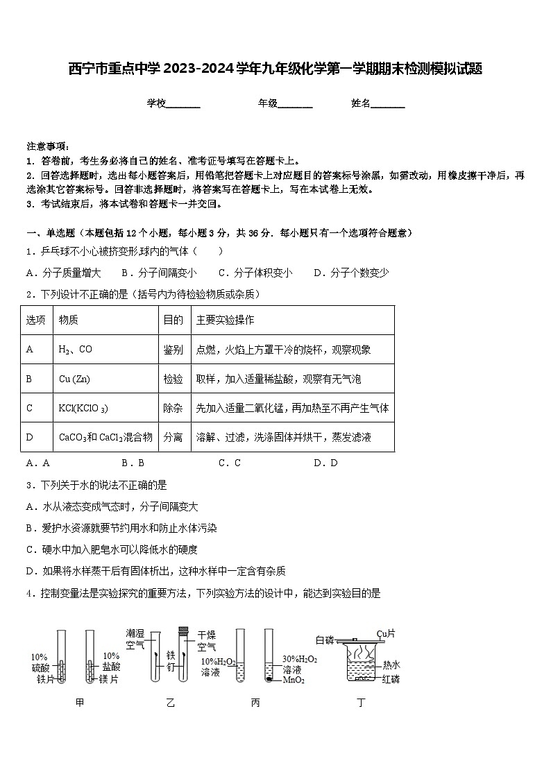 西宁市重点中学2023-2024学年九年级化学第一学期期末检测模拟试题含答案第1页