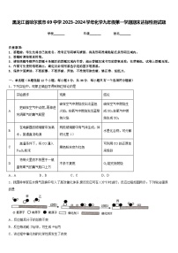 黑龙江省哈尔滨市69中学2023-2024学年化学九年级第一学期期末达标检测试题含答案