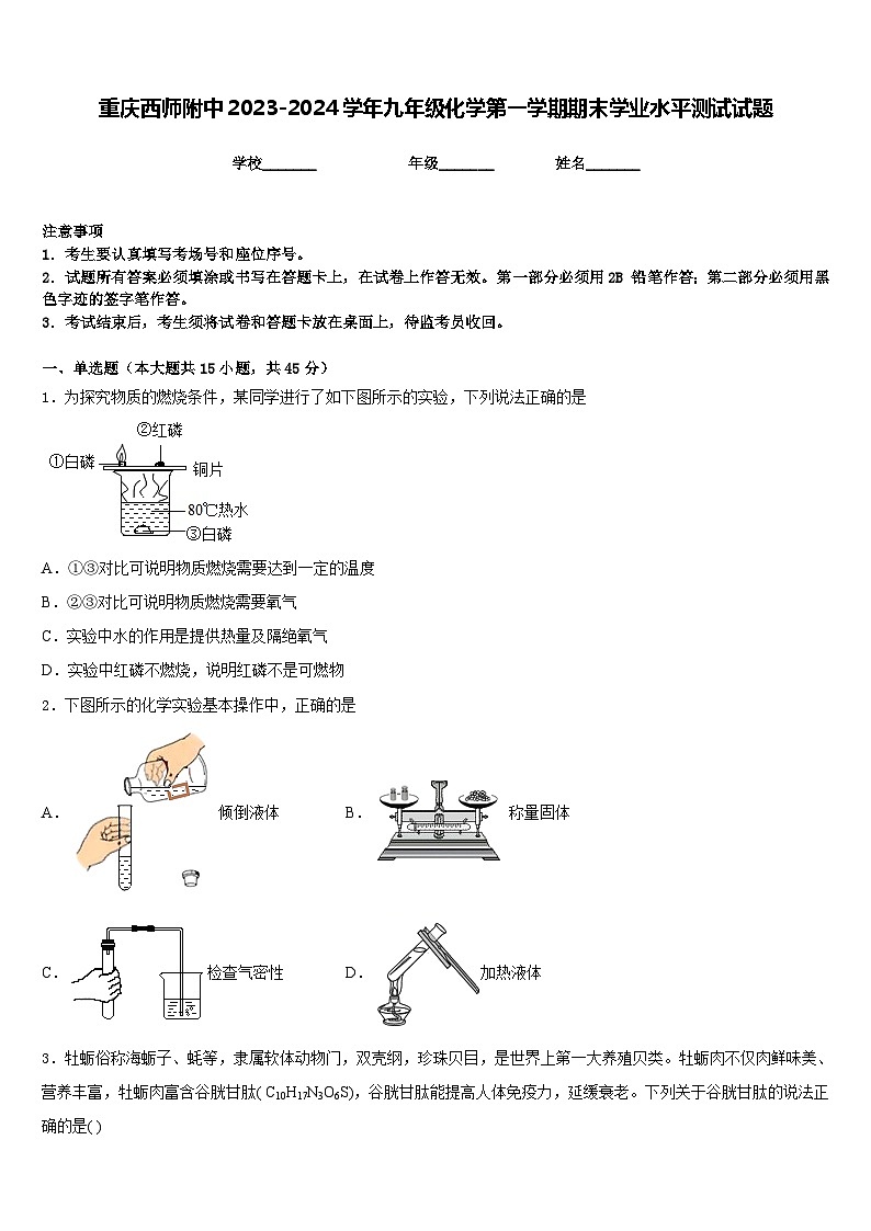 重庆西师附中2023-2024学年九年级化学第一学期期末学业水平测试试题含答案01