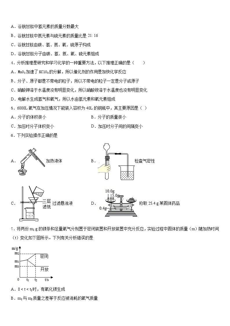 重庆西师附中2023-2024学年九年级化学第一学期期末学业水平测试试题含答案02