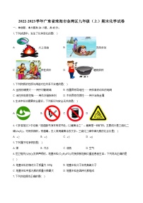 2022-2023學(xué)年廣東省珠海市金灣區(qū)九年級（上）期末化學(xué)試卷（含詳細(xì)答案解析）