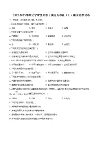2022-2023学年辽宁省沈阳市于洪区九年级（上）期末化学试卷（含详细答案解析）