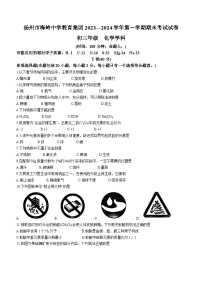 江苏省扬州市梅岭中学教育集团2023-2024学年九年级上学期1月期末化学试题(无答案)