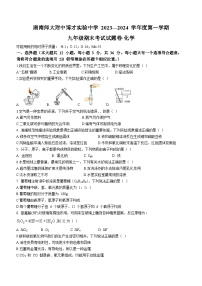 湖南省长沙市岳麓区湖南师大附中博才实验中学2023-2024学年九年级上学期期末化学试题(无答案).