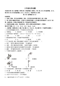 山东省泰安市东平县2023-2024学年八年级上学期期末化学试题