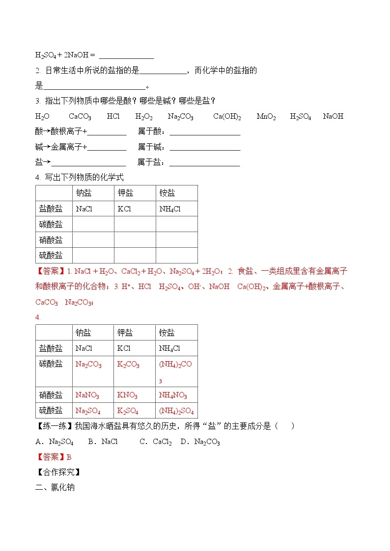 人教版化学九年级下册11.1《生活中常见的盐》第一课时 课件+教案+导学案+分层练习（含答案解析）02