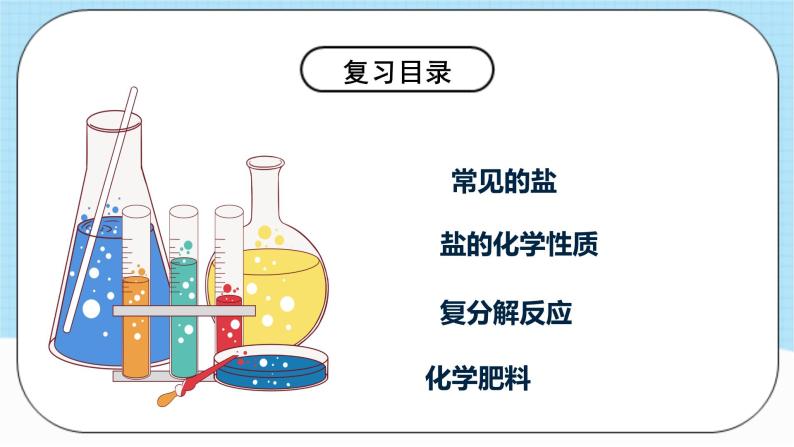 人教版化学九年级下册第11单元《盐 化肥》复习课件+知识清单+单元测试（含答案解析）04