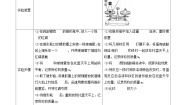 科粤版九年级上册4.3 质量守恒定律精品课后测评