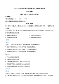 福建省龙岩市2023-2024学年九年级上学期期末化学试题