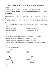 河南省三门峡市2023-2024学年九年级上学期期末化学试题