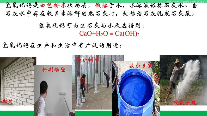 人教版九年级化学下册同步优质课件 第十单元 课题1 常见的酸和碱(第三课时)06