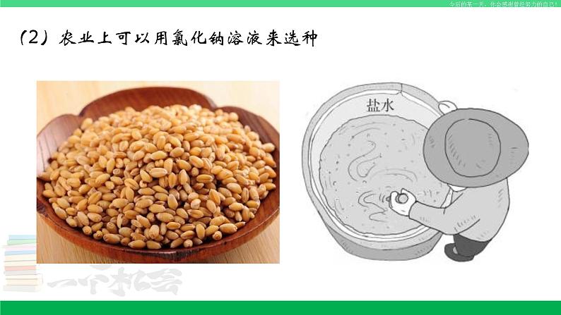人教版九年级化学下册同步优质课件 第十一单元 课题1 生活中常见的盐(1)08