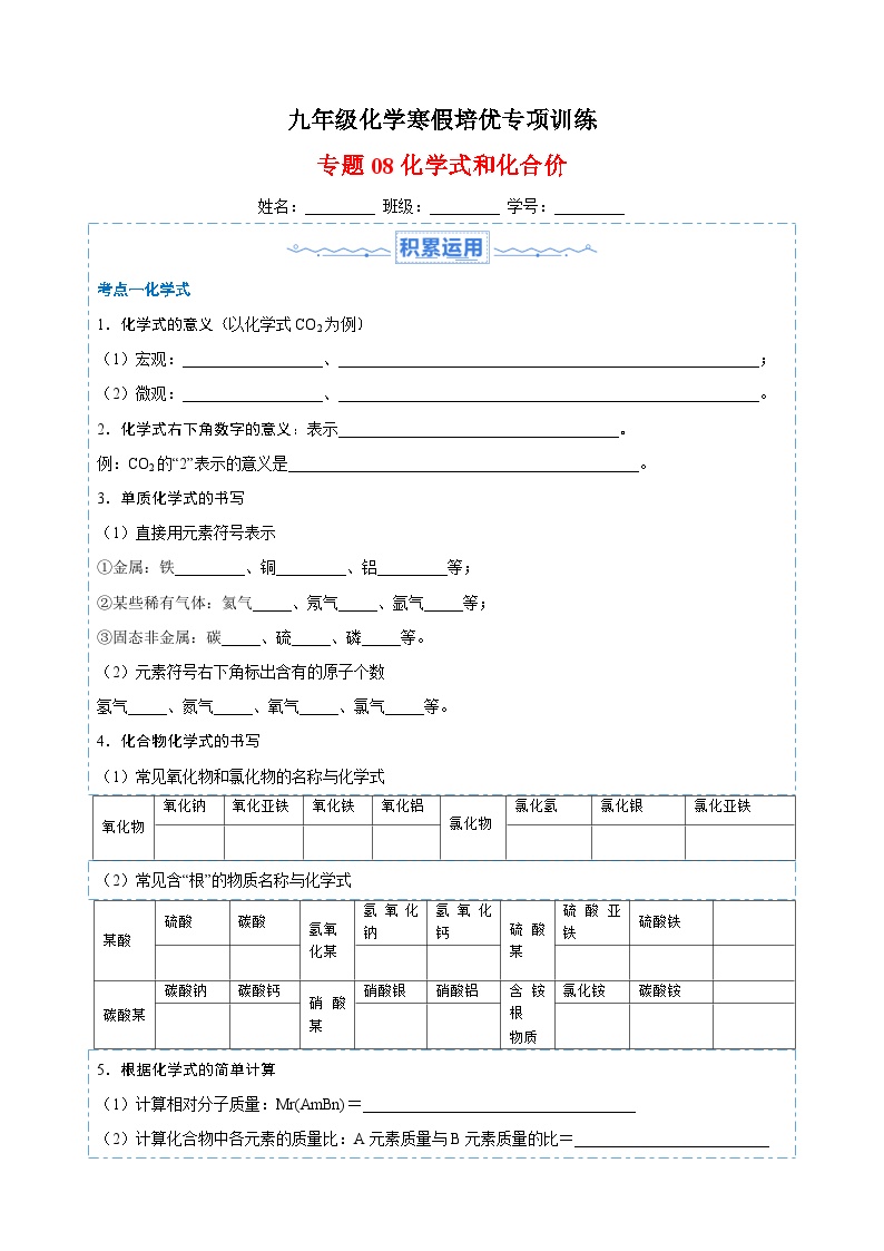 专题08 化学式和化合价-九年级化学寒假培优专项训练（沪教版）