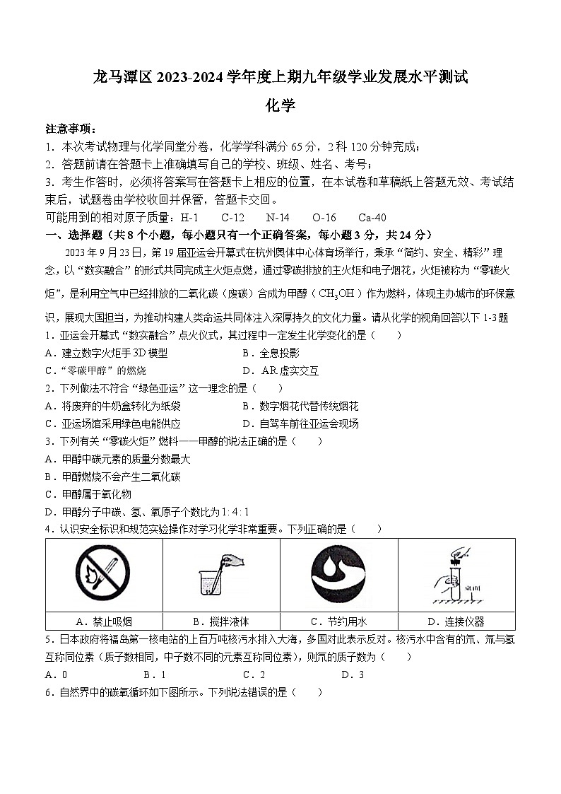 四川省泸州市龙马潭区2023-2024学年九年级上学期1月期末化学试题01