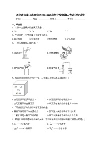 河北省张家口市宣化区2024届九年级上学期期末考试化学试卷(含答案)