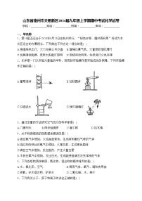 山东省德州市天衢新区2024届九年级上学期期中考试化学试卷(含答案)