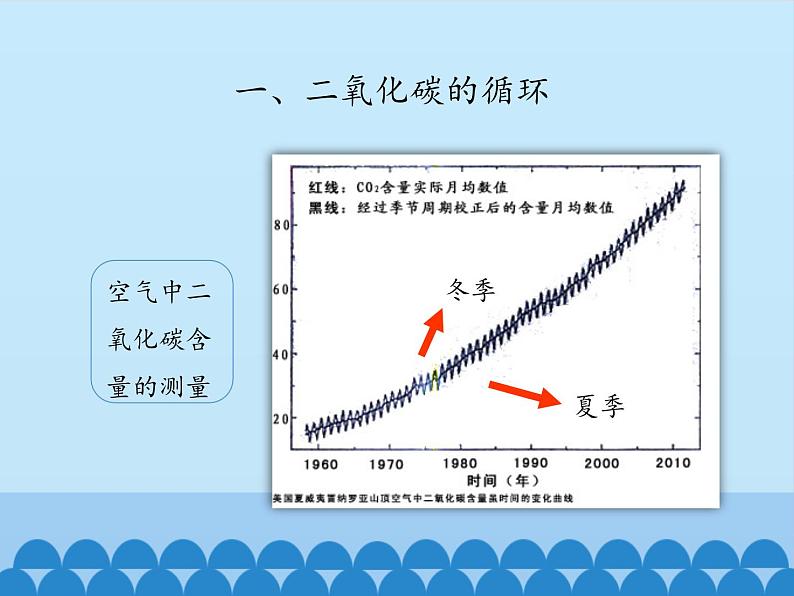 鲁教版五四制化学八年级全一册 第六单元 第三节 大自然中的二氧化碳_ 课件05