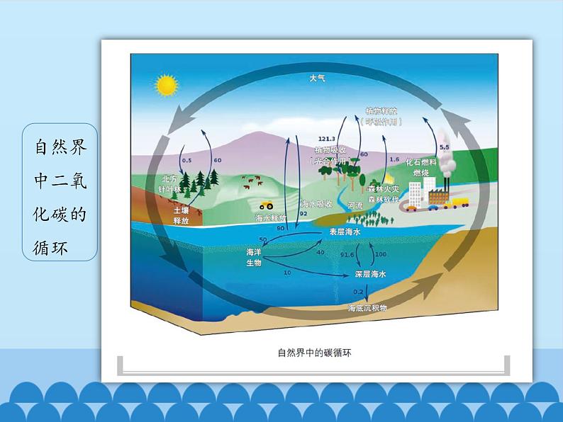 鲁教版五四制化学八年级全一册 第六单元 第三节 大自然中的二氧化碳_ 课件08