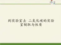 鲁教版五四制化学八年级全一册 第六单元 到实验室去 二氧化碳的实验室制取与性质(1) 课件