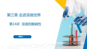 初中化学3.3 溶液的酸碱性完美版作业课件ppt