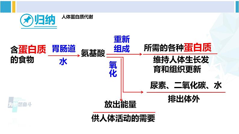 人教版九年级化学下册 第十二单元 化学与生活 课题1 人类重要的营养物质(课件)第7页