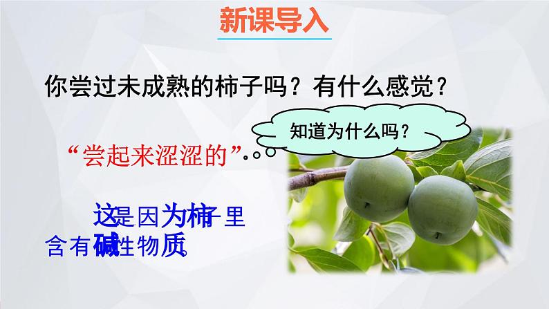 科粤版九年级化学下册 第八章 常见的酸、碱、盐第三课时 常见的碱 碱溶液的化学性质(课件)02