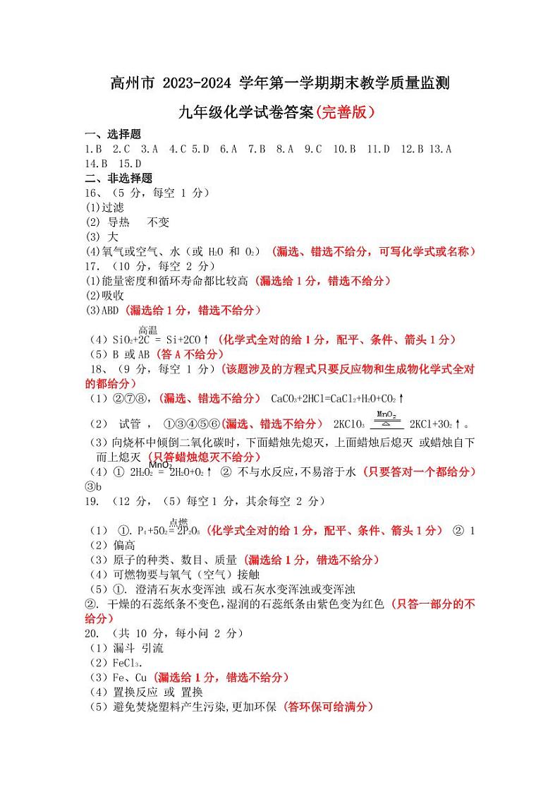 化学质量监测评分标准(细化版)第1页