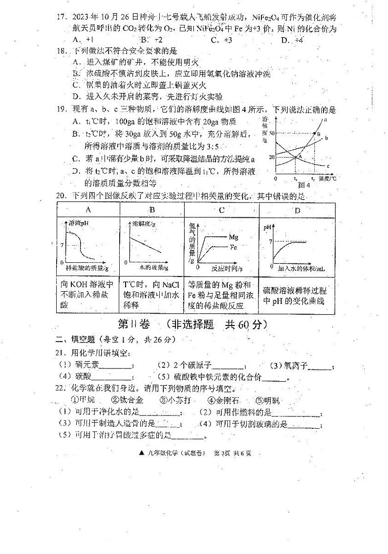 广西河池市罗城仫佬族自治县2023-2024学年九年级下学期开学适应性检测化学试卷03