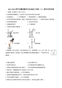 2023-2024学年安徽省滁州市定远县九年级(上)期末化学试卷(含解析)
