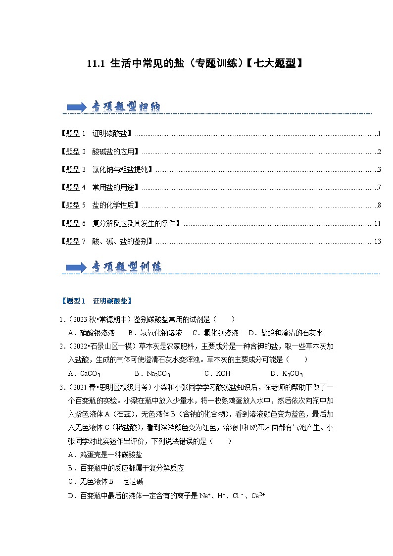11.1 生活中常见的盐(专题训练)(原卷版)第1页