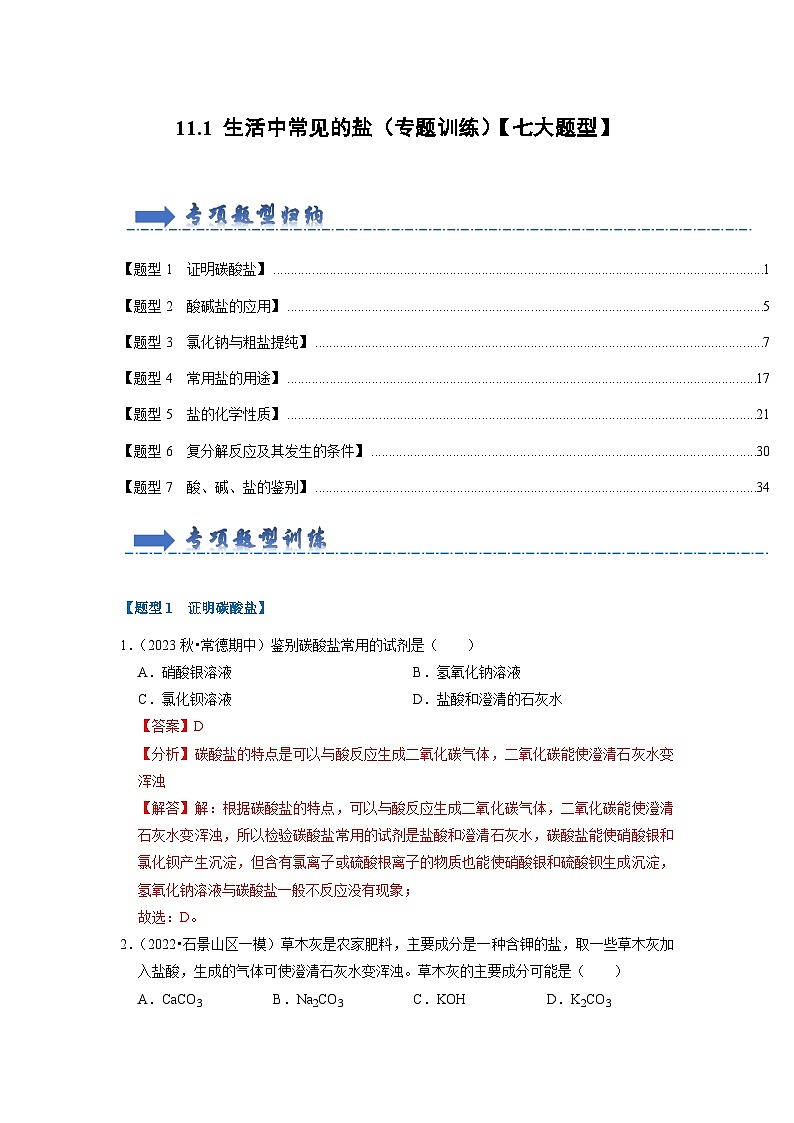 11.1 生活中常见的盐(专题训练)(解析版)第1页