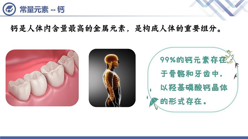 课题2 化学元素与人体健康第7页