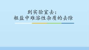 鲁教版九年级下册到实验室去：粗盐中难溶性杂质的去除教案配套课件ppt