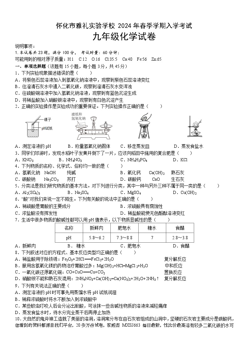 湖南省怀化市雅礼实验学校2023-2024学年九年级下学期入学考试化学试题(1)