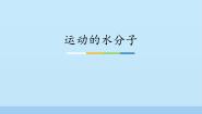 鲁教版 (五四制)八年级全册第一节 运动的水分子教学课件ppt