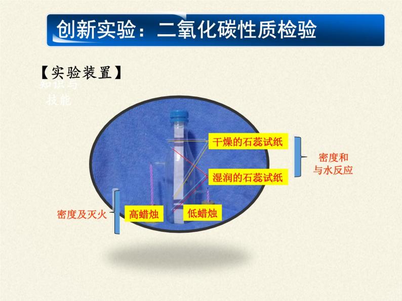 鲁教版五四制化学八年级全一册 第六单元 第三节 大自然中的二氧化碳(2) 课件07