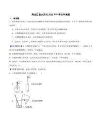 黑龙江省大庆市2023年中考化学试题（附真题解析）