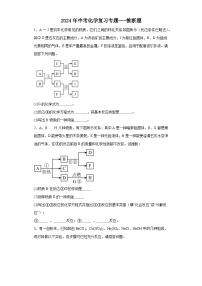 2024年中考化学复习专题推断题（解析版）